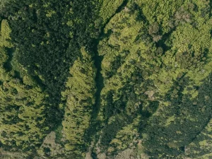 Visite d'une journée à São Jorge-Tripix-Guidetotheazores