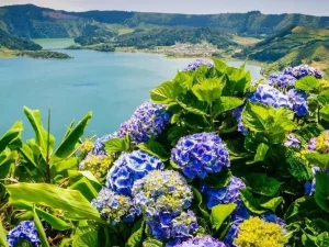 Sete Cidades - Halbtagestour-In die wilden Azoren-Guidetotheazores