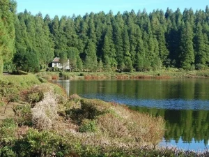 Sete Cidades - Tour di mezza giornata-Nella natura selvaggia delle Azzorre-Guidetotheazores