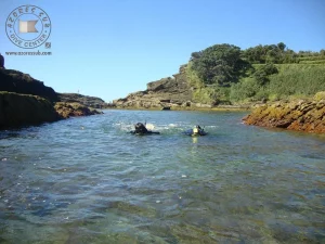Schnorcheln - Azoren Sub - Guide to the Azores