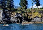 Special Charter - 2 days 1 night-Sail4Sailing-Guidetotheazores