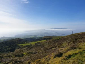 Tour Safari 4x4 Meio Dia - Trihlos da Natureza - Guide to the Azores
