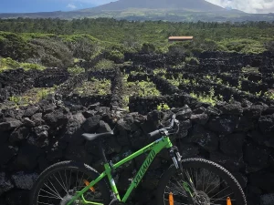 Pico Vineyards Bike Tour - Guide to the Azores