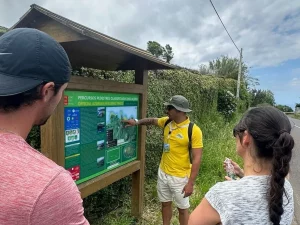 Agualva Bays Walking Trail - Terceira Island-Azoresnaturetours-Guidetotheazores