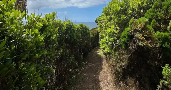 Agualva Bays Walking Trail - Terceira Island-Azoresnaturetours-Guidetotheazores