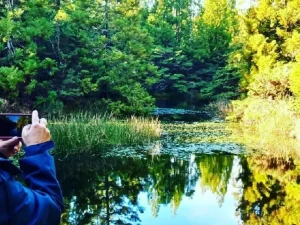 Mistérios Negros Walking Trail – Terceira Island-Azoresnature tours-Guidetotheazores
