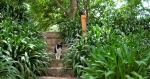 Monte Brasil Walking Trail - Terceira Island-Azoresnaturetours-Guidetotheazores