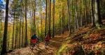 Mountain Bike Hire - Terceira Island-Azoresnaturetorurs-Guidetotheazores