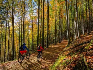 Mountain Bike Hire - Terceira Island-Azoresnaturetorurs-Guidetotheazores