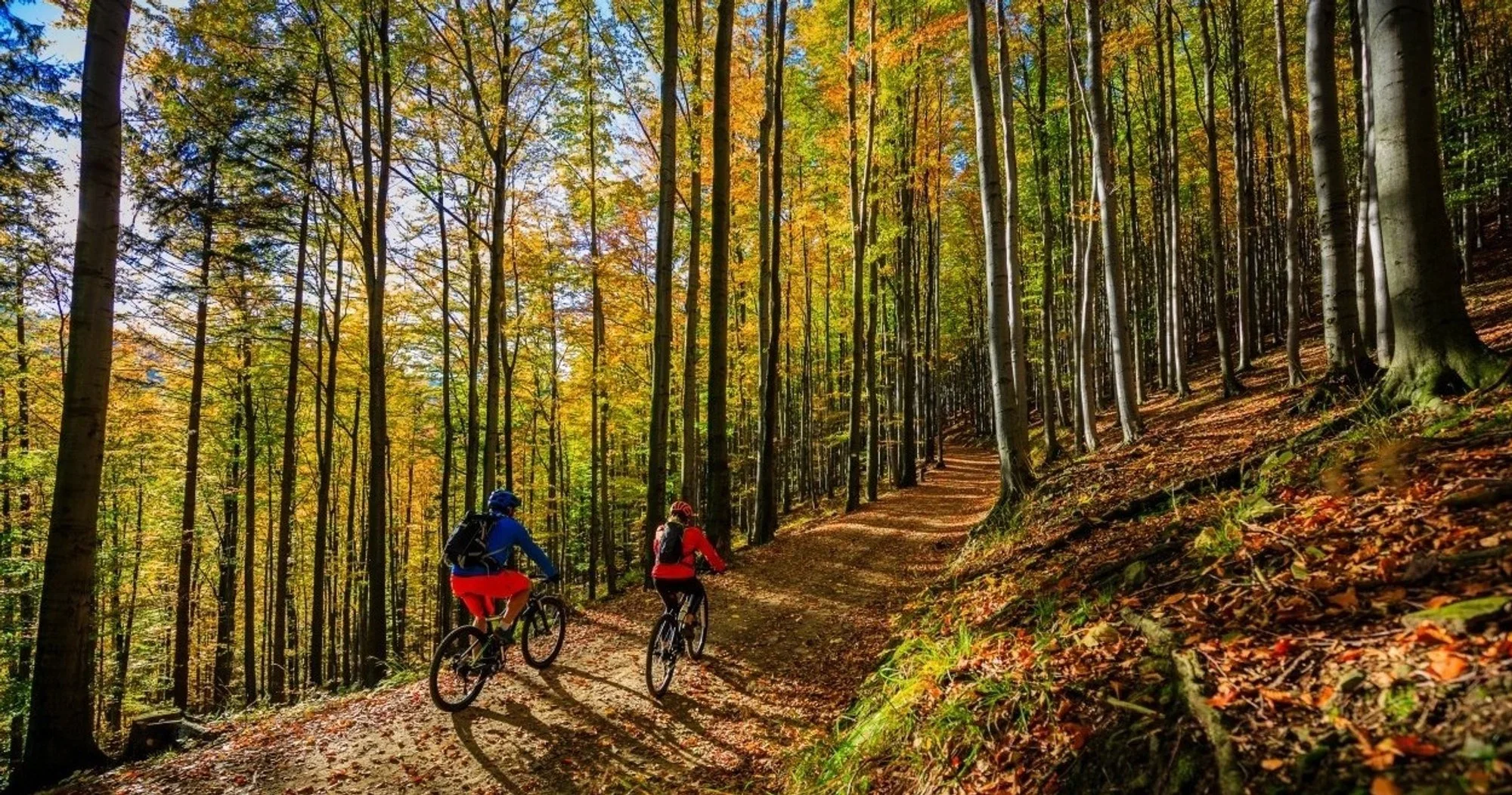 Mountain Bike Hire - Terceira Island-Azoresnaturetorurs-Guidetotheazores Mountain Bike Hire - Terceira Island-Azoresnaturetorurs-Guidetotheazores