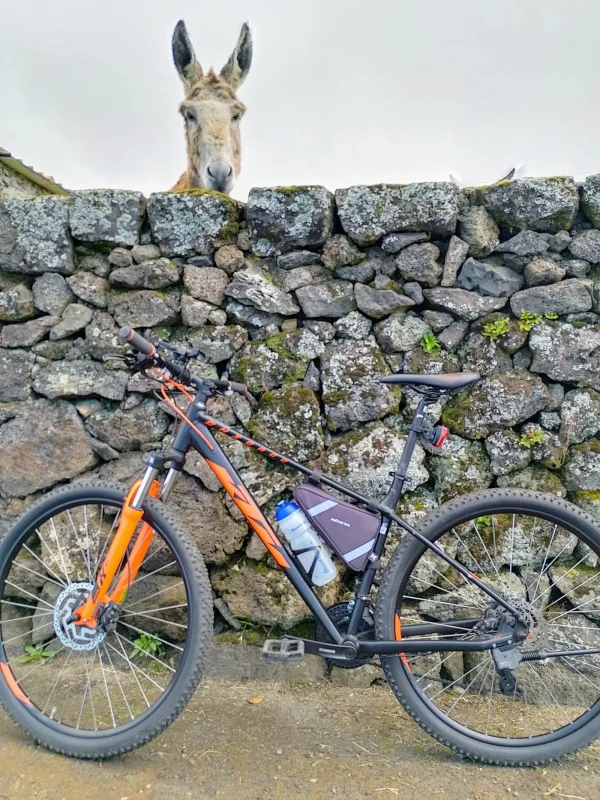 Mountain Bike Hire - Terceira Island-Azoresnaturetorurs-Guidetotheazores