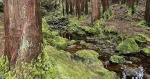VAN TOUR (Half Day) – Underground – Terceira Island_azoresnaturetour-Guidetotheazores